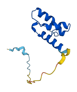 POLD4 3D structure