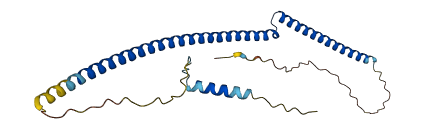BRMS1 3D structure