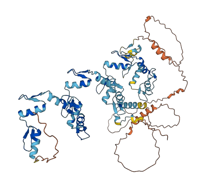 ZNF304 3D structure