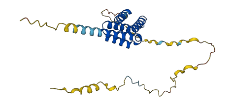 SRA1 3D structure