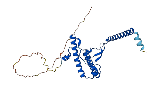 MRPL47 3D structure