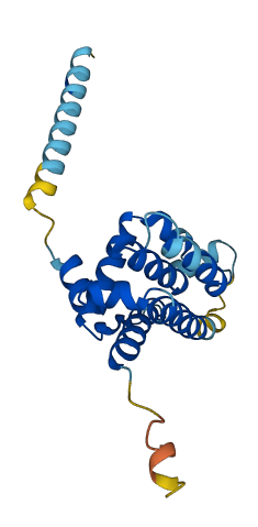 BCL2L10 3D structure
