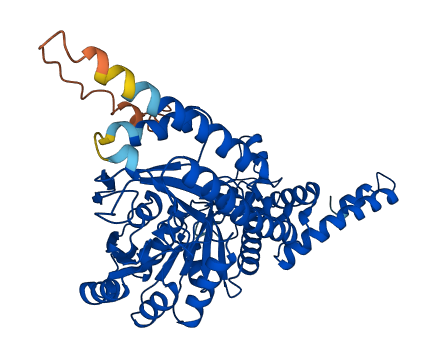 SEPSECS 3D structure