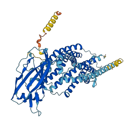 TM9SF3 3D structure