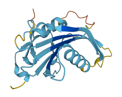 RANGRF 3D structure