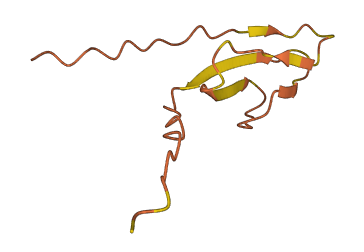 XAGE1A 3D structure