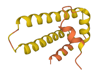 C6orf50 3D structure