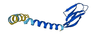RETN 3D structure