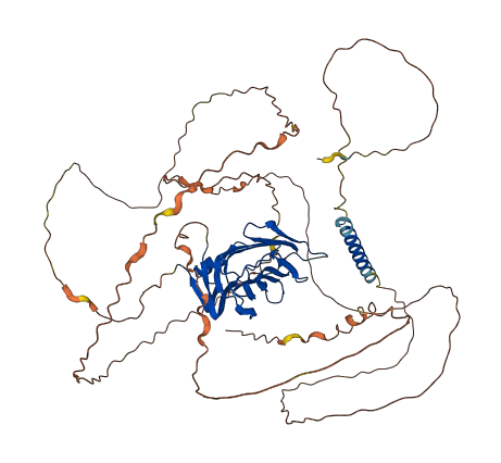 NRXN3 3D structure