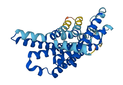 Olfr19 3D structure