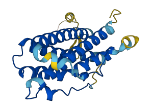 Prl2a1 3D structure