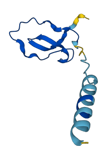 Wfdc15b 3D structure