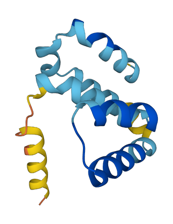 Scgb2b20 3D structure
