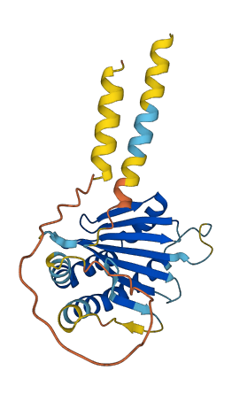 Raet1d 3D structure
