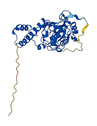 Cts8 3D structure