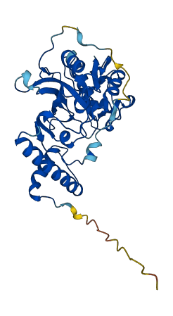 Ctsr 3D structure