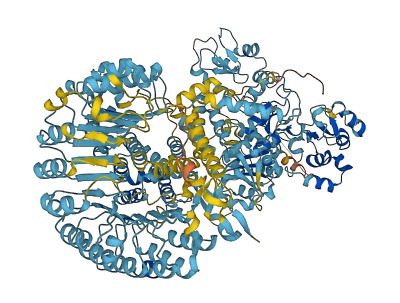 Naip6 3D structure