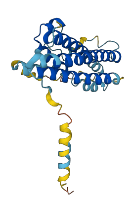 Prl5a1 3D structure