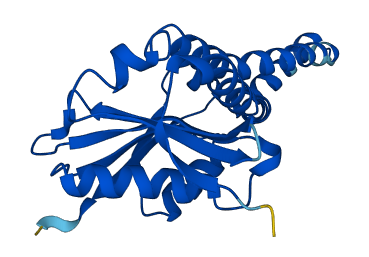 Cml6 3D structure
