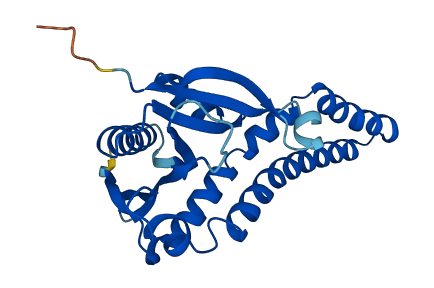Nat8f3 3D structure