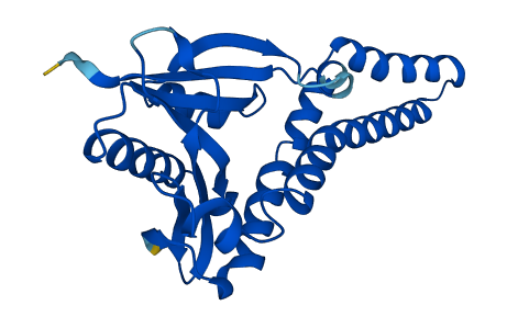 Cml1 3D structure