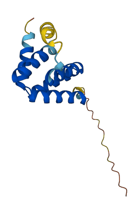 MNCb-2990 3D structure