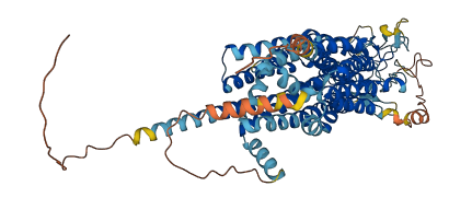 Slco1b2 3D structure