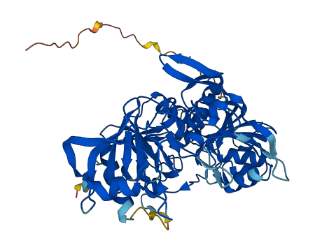 Oxct2a 3D structure