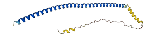 Xlr5c 3D structure