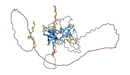 D7h11orf16 3D structure