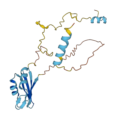 Alyref2 3D structure