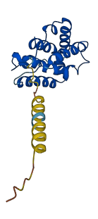 Il22b 3D structure