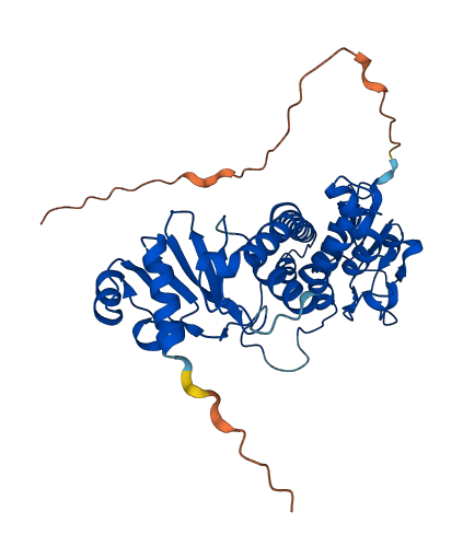 Myg1 3D structure