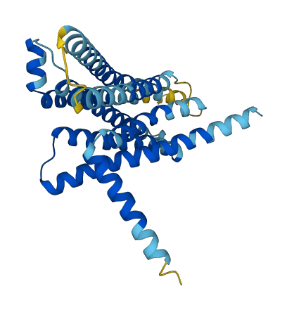 Tas2r103 3D structure