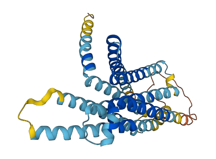 Tas2r123 3D structure