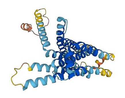 Tas2r119 3D structure