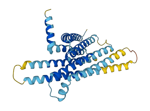 Tas2r105 3D structure