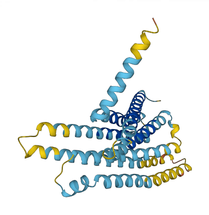 Tas2r114 3D structure