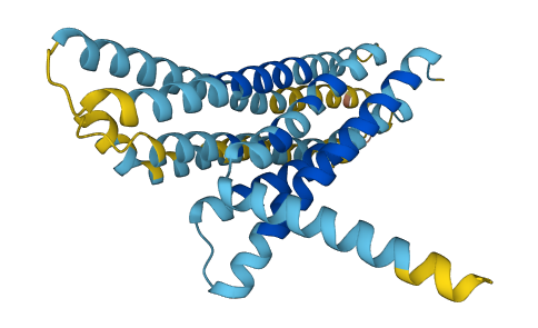 Tas2r107 3D structure