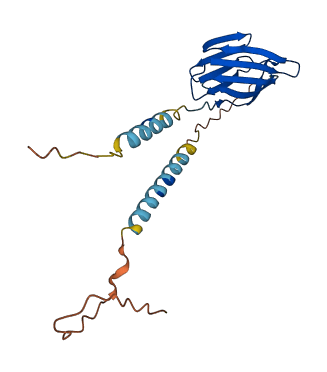 Sectm1b 3D structure