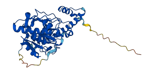 Ctsm 3D structure