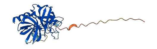 Klk1b27 3D structure
