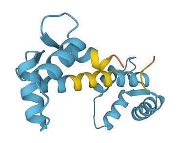 Calm4 3D structure