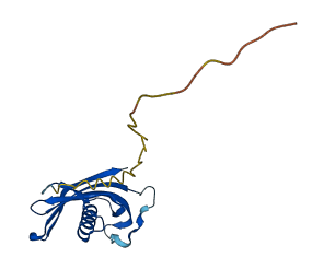 Cst10 3D structure