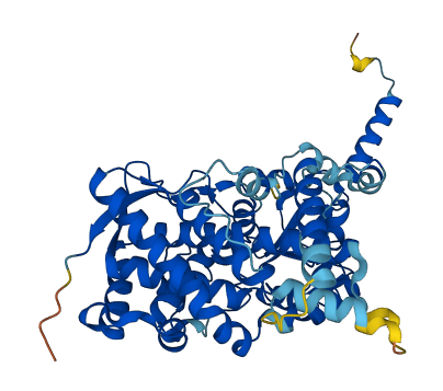 Cyp3a41a 3D structure