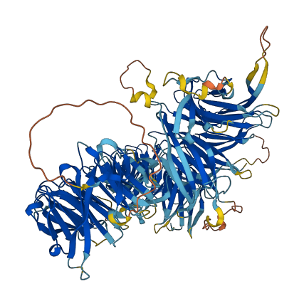 WDR6 3D structure