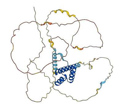 HMX1 3D structure