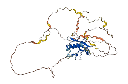 SH2D2A 3D structure