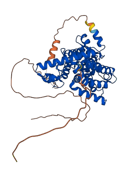 PDE7B 3D structure