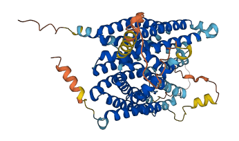 SLC40A1 3D structure